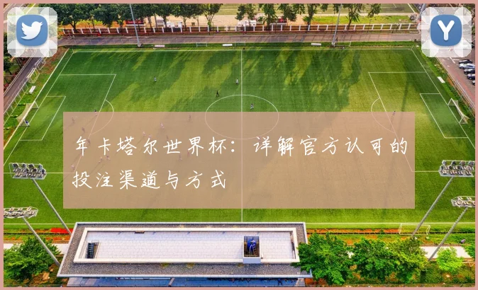 年卡塔尔世界杯:详解官方认可的投注渠道与方式