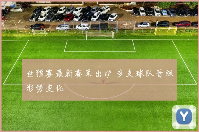 世预赛最新赛果出炉 多支球队晋级形势变化