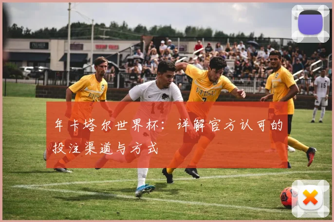 年卡塔尔世界杯:详解官方认可的投注渠道与方式