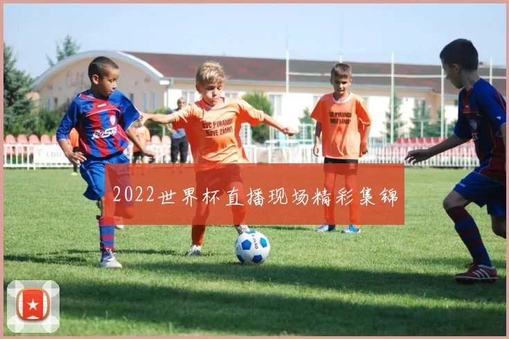 2022世界杯直播现场精彩集锦