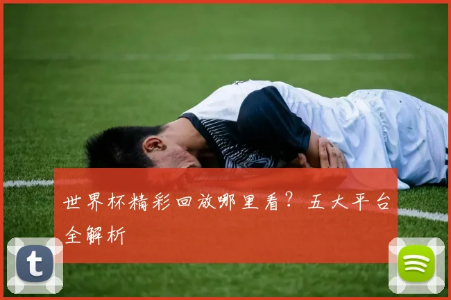 世界杯精彩回放哪里看？五大平台全解析