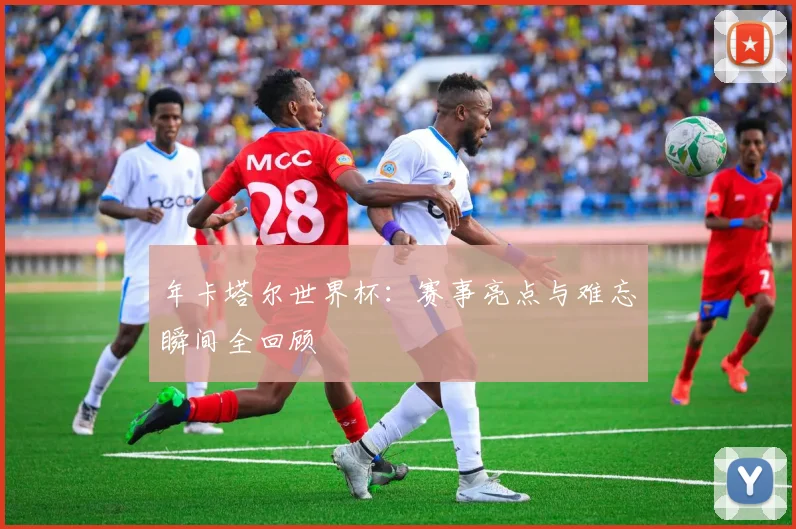 年卡塔尔世界杯:赛事亮点与难忘瞬间全回顾