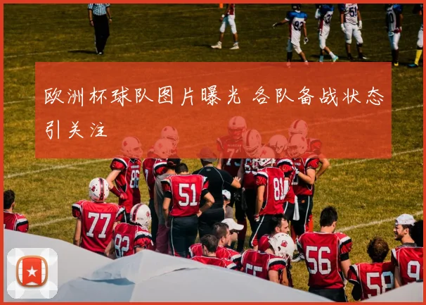 欧洲杯球队图片曝光 各队备战状态引关注