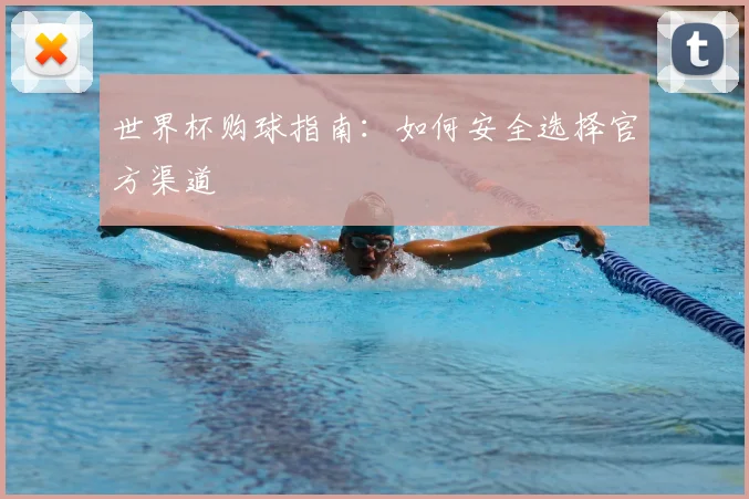 世界杯购球指南:如何安全选择官方渠道