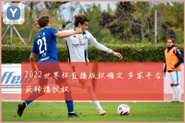 2022世界杯直播版权确定 多家平台获转播授权