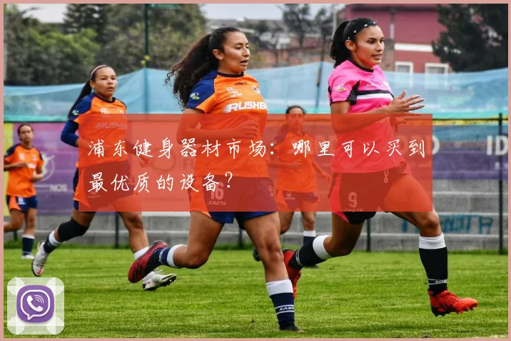 浦东健身器材市场：哪里可以买到最优质的设备？