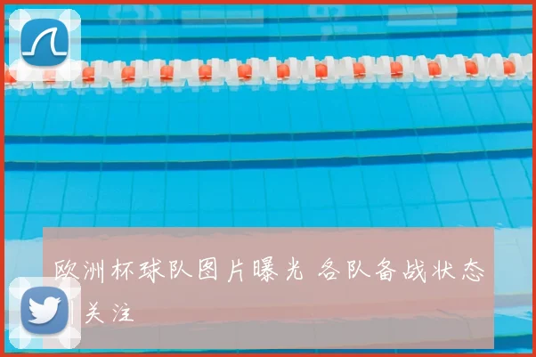 欧洲杯球队图片曝光 各队备战状态引关注